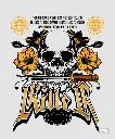 Skull Killer.webp